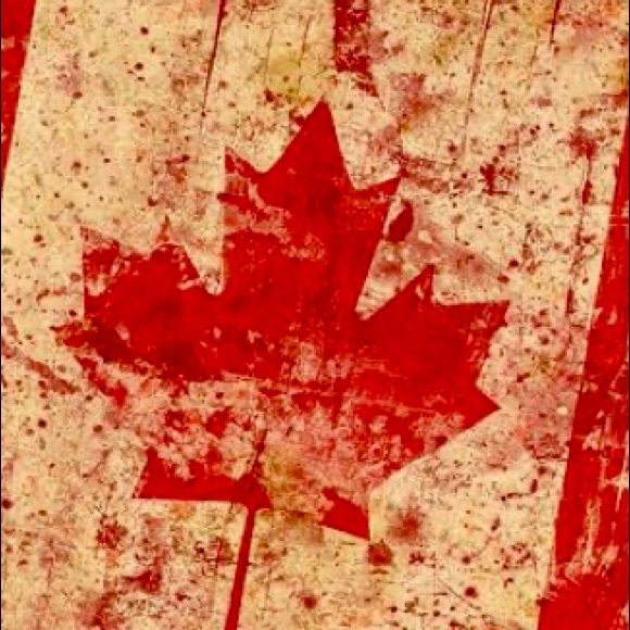 ๐จ๐ฆ POSH AMBASSADOR ๐จ๐ฆ - Picture 3 of 5